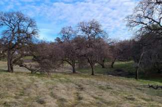 20 Acres in Grass Valley