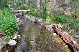 Park Like Setting, 353 Acres, Creek Frontage, Seller Financing